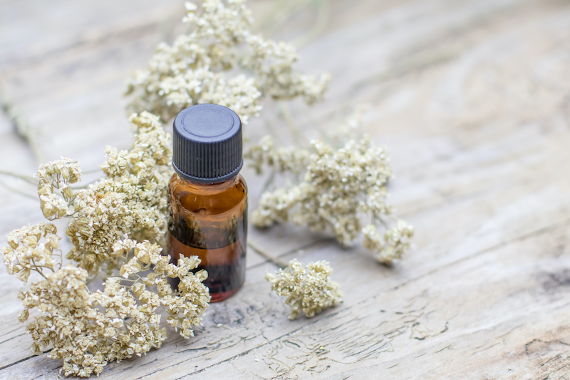 phytotherapie-pharmacie-coubret-confolens